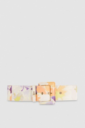 Patrizia Pepe Belt With Fabric-wrapped Buckle Renkli | LHJ532914