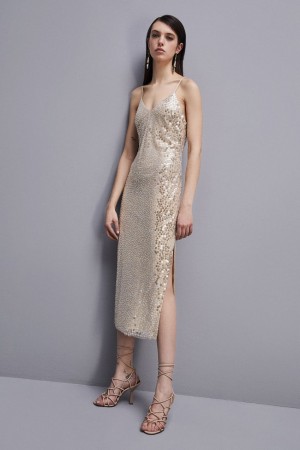 Patrizia Pepe Hand-embroidered Tulle Dress Bej Rengi | CQM023518